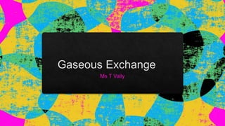 Gaseous Exchange.pptx