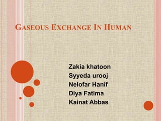 GASEOUS EXCHANGE IN HUMAN
Zakia khatoon
Syyeda urooj
Nelofar Hanif
Diya Fatima
Kainat Abbas
 