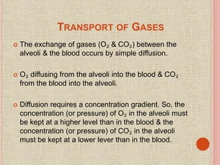 TRANSPORT OF GASES
 The exchange of gases (O₂ & CO₂) between the
alveoli & the blood occurs by simple diffusion.
 O₂ diffusing from the alveoli into the blood & CO₂
from the blood into the alveoli.
 Diffusion requires a concentration gradient. So, the
concentration (or pressure) of O₂ in the alveoli must
be kept at a higher level than in the blood & the
concentration (or pressure) of CO₂ in the alveoli
must be kept at a lower lever than in the blood.
 