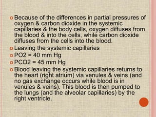  Because of the differences in partial pressures of
oxygen & carbon dioxide in the systemic
capillaries & the body cells, oxygen diffuses from
the blood & into the cells, while carbon dioxide
diffuses from the cells into the blood.
 Leaving the systemic capillaries
 PO2 = 40 mm Hg
 PCO2 = 45 mm Hg
 Blood leaving the systemic capillaries returns to
the heart (right atrium) via venules & veins (and
no gas exchange occurs while blood is in
venules & veins). This blood is then pumped to
the lungs (and the alveolar capillaries) by the
right ventricle.
 