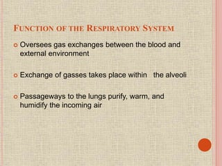 FUNCTION OF THE RESPIRATORY SYSTEM
 Oversees gas exchanges between the blood and
external environment
 Exchange of gasses takes place within the alveoli
 Passageways to the lungs purify, warm, and
humidify the incoming air
 