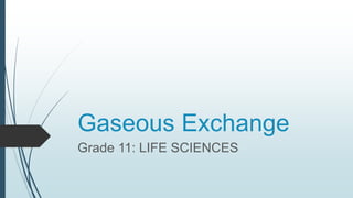 Gaseous Exchange
Grade 11: LIFE SCIENCES
 