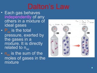 Dalton’s Law
• Each gas behaves
independently of any
others in a mixture of
ideal gases
• Ptotal is the total
pressure, exerted by
the gases in a
mixture. It is directly
related to ntotal
• ntotal is the sum of the
moles of gases in the
mixture
 