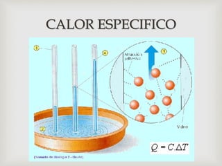 
CALOR ESPECIFICO
 