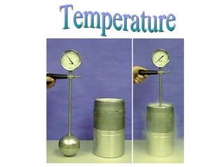 Temperature 