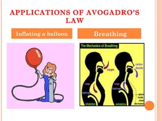 APPLICATIONS OF AVOGADRO’S
LAW
Inflating a balloon Breathing
 