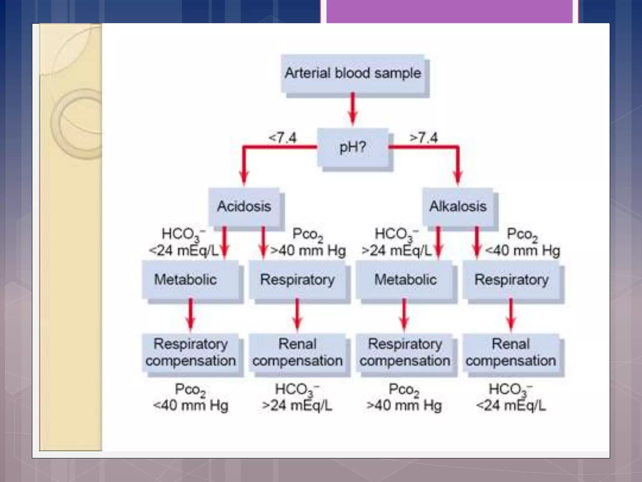 Gases Arteriales- equilibrio ácido base | PPT