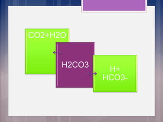 CO2+H2O
H2CO3
H+
HCO3-
↔
↔
 
