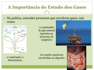 A Importância do Estudo dos Gases
 Na prática, entender processos que envolvem gases, tais
como:
a respiração, a
fotossíntese;
a combustão
do gás natural
(queima na
presença de
oxigênio)
As reações químicas
envolvidas na digestão
 