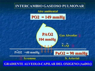 Pao2 Vs Pvo2 gasometria arteraial en recien nacidos as | PPT