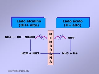 Gases Arteriales-Interpretación de lab .pdf