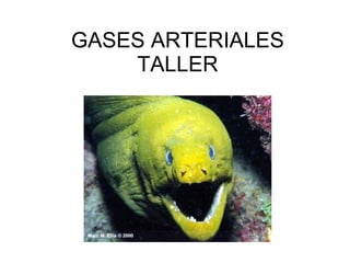 GASES ARTERIALES TALLER 