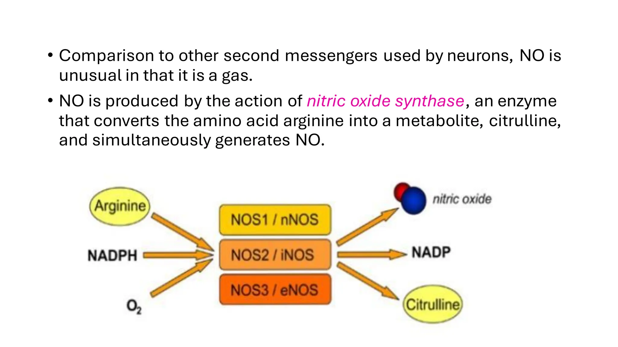 gases as neural messengers . Nitric oxide , carbon monoxide , hydrogen ...