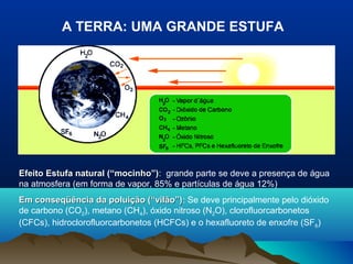A TERRA: UMA GRANDE ESTUFA

Efeito Estufa natural (“mocinho”): grande parte se deve a presença de água
(“mocinho”)
na atmosfera (em forma de vapor, 85% e partículas de água 12%)
Em conseqüência da poluição (“vilão”): Se deve principalmente pelo dióxido
(“vilão”)
de carbono (CO2), metano (CH4), óxido nitroso (N2O), clorofluorcarbonetos
(CFCs), hidroclorofluorcarbonetos (HCFCs) e o hexafluoreto de enxofre (SF6)

 