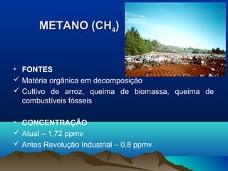 METANO (CH4)

• FONTES
 Matéria orgânica em decomposição
 Cultivo de arroz, queima de biomassa, queima de
combustíveis fósseis
• CONCENTRAÇÃO
 Atual – 1,72 ppmv
 Antes Revolução Industrial – 0,8 ppmv

 