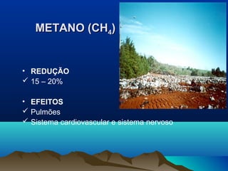 METANO (CH4)

• REDUÇÃO
 15 – 20%
• EFEITOS
 Pulmões
 Sistema cardiovascular e sistema nervoso

 