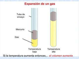 Si la temperatura aumenta entonces... el volumen aumenta
Temperatura
baja
Temperatura
alta
Gas
Mercurio
Expansión de un gas
Tubo de
ensayo
 