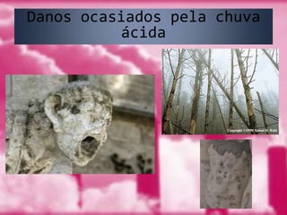 Danos ocasiados pela chuva ácida