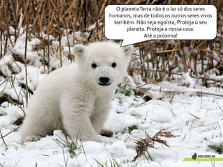 O planeta Terra não é o lar só dos seres humanos, mas de todos os outros seres vivos também. Não seja egoísta, Proteja o seu planeta. Proteja a nossa casa.Até a próxima!