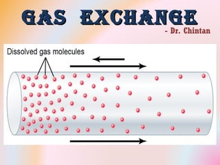 Gas ExchanGEGas ExchanGE- Dr. Chintan
 