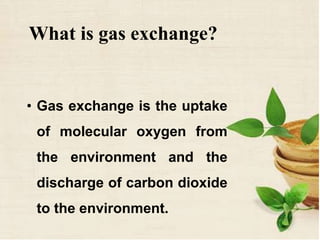 What is gas exchange?
• Gas exchange is the uptake
of molecular oxygen from
the environment and the
discharge of carbon dioxide
to the environment.
 