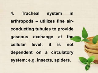 4. Tracheal system in
arthropods – utilizes fine air-
conducting tubules to provide
gaseous exchange at the
cellular level; it is not
dependent on a circulatory
system; e.g. insects, spiders.
 