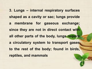 3. Lungs – internal respiratory surfaces
shaped as a cavity or sac; lungs provide
a membrane for gaseous exchange;
since they are not in direct contact with
all other parts of the body, lungs require
a circulatory system to transport gases
to the rest of the body; found in birds,
reptiles, and mammals
 