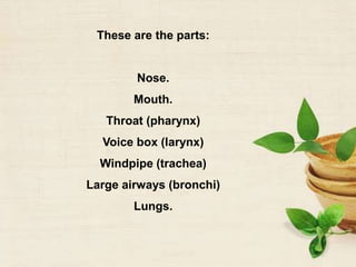 These are the parts:
Nose.
Mouth.
Throat (pharynx)
Voice box (larynx)
Windpipe (trachea)
Large airways (bronchi)
Lungs.
 