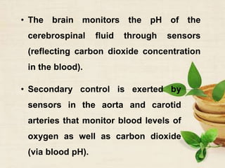 • The brain monitors the pH of the
cerebrospinal fluid through sensors
(reflecting carbon dioxide concentration
in the blood).
• Secondary control is exerted by
sensors in the aorta and carotid
arteries that monitor blood levels of
oxygen as well as carbon dioxide
(via blood pH).
 