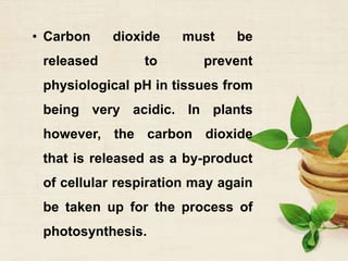 • Carbon dioxide must be
released to prevent
physiological pH in tissues from
being very acidic. In plants
however, the carbon dioxide
that is released as a by-product
of cellular respiration may again
be taken up for the process of
photosynthesis.
 