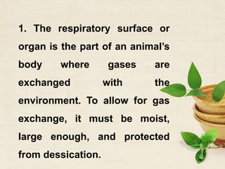 1. The respiratory surface or
organ is the part of an animal’s
body where gases are
exchanged with the
environment. To allow for gas
exchange, it must be moist,
large enough, and protected
from dessication.
 