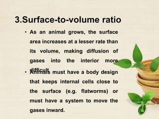 3.Surface-to-volume ratio
• As an animal grows, the surface
area increases at a lesser rate than
its volume, making diffusion of
gases into the interior more
difficult
• Animals must have a body design
that keeps internal cells close to
the surface (e.g. flatworms) or
must have a system to move the
gases inward.
 
