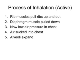 Gas_Exchange.ppt