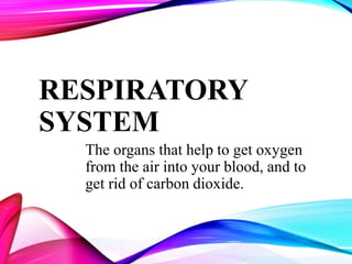 RESPIRATORY
SYSTEM
The organs that help to get oxygen
from the air into your blood, and to
get rid of carbon dioxide.
 