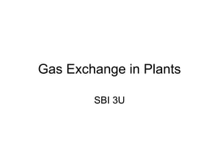 Gas Exchange in Plants
SBI 3U
 