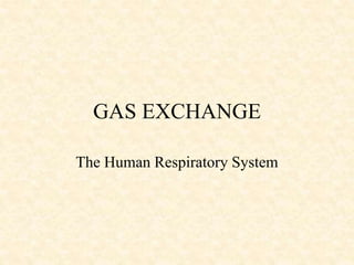 GAS EXCHANGE
The Human Respiratory System
 