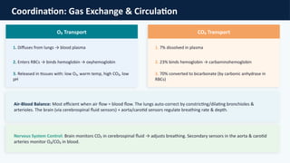 Comprehensive Overview of Gas Exchange in Plants and Animals ...