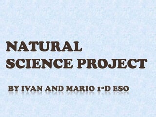 NATURAL
SCIENCE PROJECT

 
