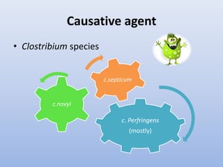 Causative agentClostribium species