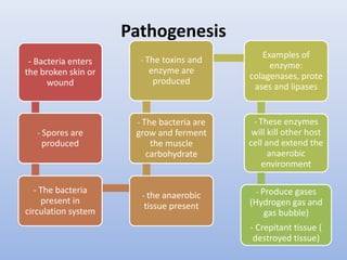 Pathogenesis