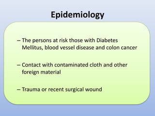EpidemiologyThe persons at risk those with Diabetes Mellitus, blood vessel disease and colon cancerContact with contaminated cloth and other foreign materialTrauma or recent surgical wound