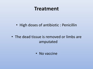 TreatmentHigh doses of antibiotic : PenicillinThe dead tissue is removed or limbs are amputatedNo vaccine