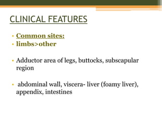 CLINICAL FEATURES
• Common sites:
• limbs>other
• Adductor area of legs, buttocks, subscapular
region
• abdominal wall, viscera- liver (foamy liver),
appendix, intestines
 