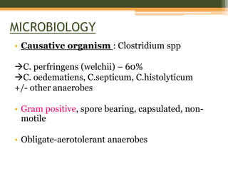 MICROBIOLOGY
• Causative organism : Clostridium spp
C. perfringens (welchii) – 60%
C. oedematiens, C.septicum, C.histolyticum
+/- other anaerobes
• Gram positive, spore bearing, capsulated, non-
motile
• Obligate-aerotolerant anaerobes
 
