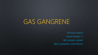 GAS GANGRENE
DR POOJA PANDEY
JUNIOR RESIDENT -1
MS. GENERAL SURGERY
MIMS ,BARABANKI UTTAR PRADESH
 
