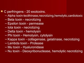  C perfringens - 20 exotoxins.
– Alpha toxin-lecithinase,necrotizing,hemolytic,cardiotoxic
– Beta toxin - necrotizing
– Epsilon toxin - permease
– Iota toxin - necrotizing
– Delta toxin - hemolysin
– Phi toxin - Hemolysin, cytolysin
– Kappa toxin - collagenase, gelatinase, necrotizing
– Lambda toxin - Protease
– Mu toxin - Hyaluronidase
– Nu toxin - Deoxyribonuclease, hemolytic necrotizing
 