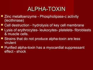 ALPHA-TOXINALPHA-TOXIN
 Zinc metalloenzyme - Phospholipase-c activity
(lecithinase)
 Cell destruction - hydrolysis of key cell membrane
 Lysis of erythrocytes- leukocytes- platelets- fibroblasts
& muscle cells.
 Strains that do not produce alpha-toxin are less
virulent
 Purified alpha-toxin has a myocardial suppressant
effect - shock
 