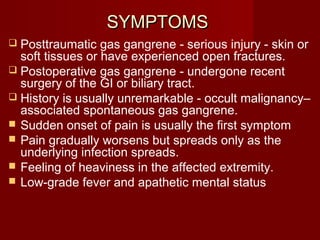 SYMPTOMSSYMPTOMS
 Posttraumatic gas gangrene - serious injury - skin or
soft tissues or have experienced open fractures.
 Postoperative gas gangrene - undergone recent
surgery of the GI or biliary tract.
 History is usually unremarkable - occult malignancy–
associated spontaneous gas gangrene.
 Sudden onset of pain is usually the first symptom
 Pain gradually worsens but spreads only as the
underlying infection spreads.
 Feeling of heaviness in the affected extremity.
 Low-grade fever and apathetic mental status
 