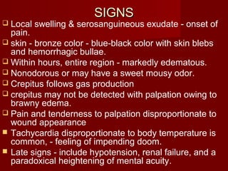 SIGNSSIGNS
 Local swelling & serosanguineous exudate - onset of
pain.
 skin - bronze color - blue-black color with skin blebs
and hemorrhagic bullae.
 Within hours, entire region - markedly edematous.
 Nonodorous or may have a sweet mousy odor.
 Crepitus follows gas production
 crepitus may not be detected with palpation owing to
brawny edema.
 Pain and tenderness to palpation disproportionate to
wound appearance
 Tachycardia disproportionate to body temperature is
common, - feeling of impending doom.
 Late signs - include hypotension, renal failure, and a
paradoxical heightening of mental acuity.
 