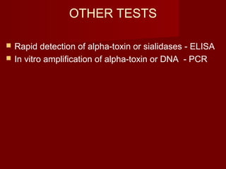 OTHER TESTS
 Rapid detection of alpha-toxin or sialidases - ELISA
 In vitro amplification of alpha-toxin or DNA - PCR
 
